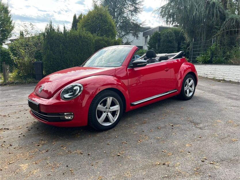 Beetle