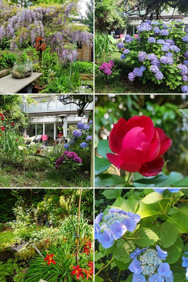 Charmante Eigentumswohnung mit wildromantischem Garten