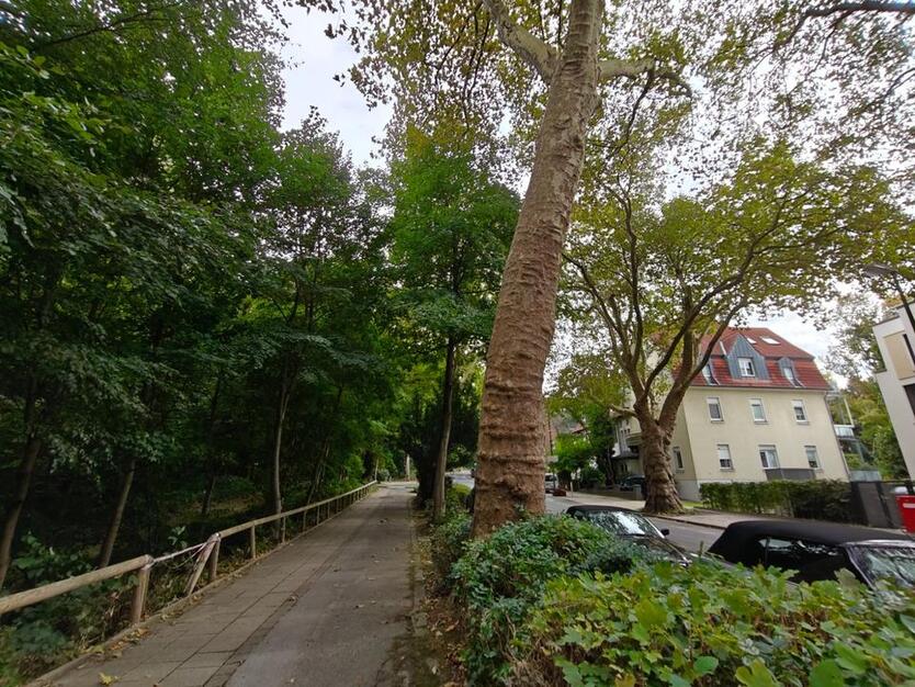 Charmante Eigentumswohnung mit wildromantischem Garten