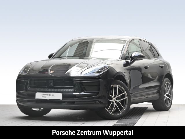 Macan