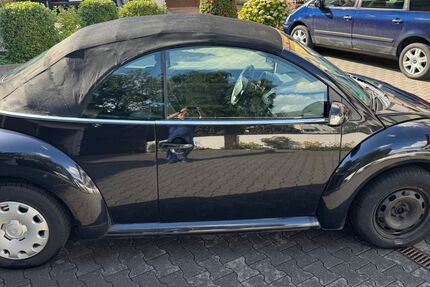 VW Beetle