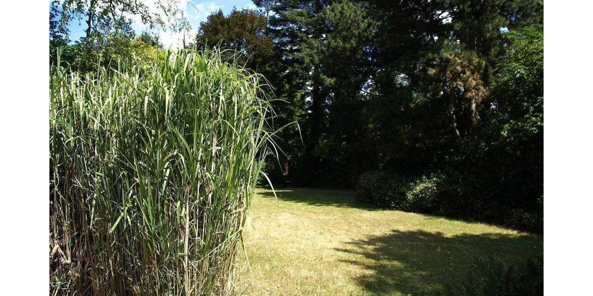 Mehrfamilienhaus, Wohnhaus Düsseldorf Urdenbach - 4 Zimmer, 121 m&sup2;, 739.000&euro; | Angebot:25820686