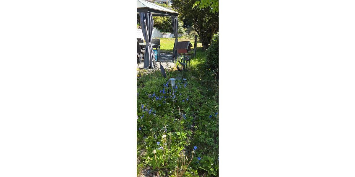 Einfamilienhaus Wipperfürth - 2 Zimmer, 42 m&sup2;, 37.500&euro; | Angebot:27094082