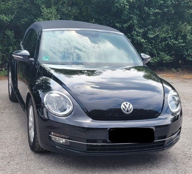 Beetle