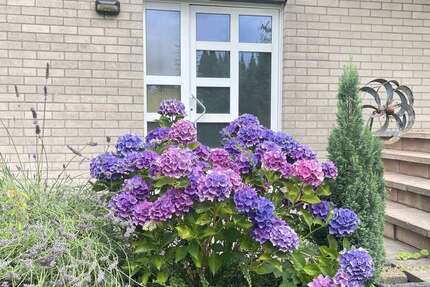 Haus Odenthal - 5 Zimmer, 121 m&sup2;, 390.000&euro; | Angebot:24609886