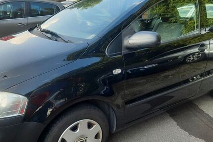 VW Fox