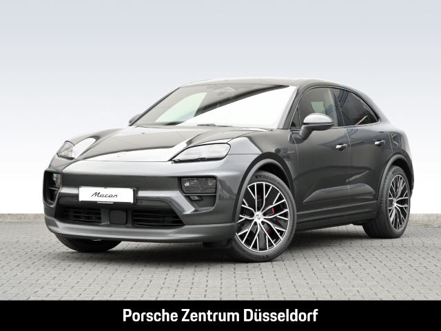 Macan