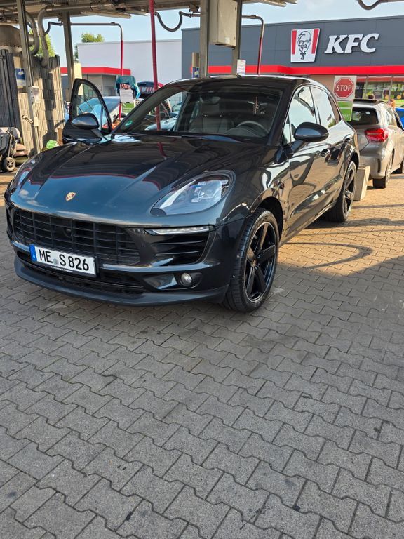 Macan