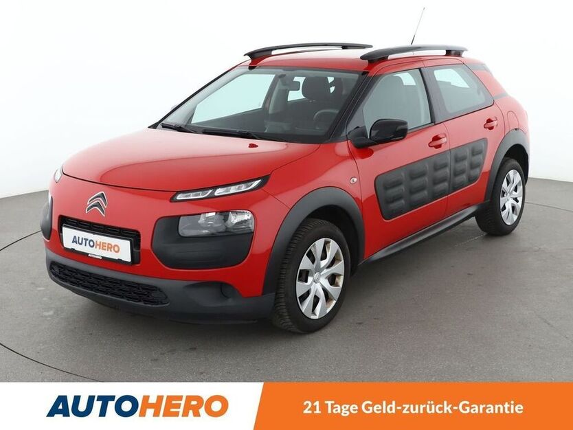 C4 Cactus
