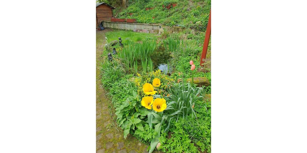 Mehrfamilienhaus, Wohnhaus Velbert Mitte - 9 Zimmer, 220 m&sup2;, 599.000&euro; | Angebot:24873220