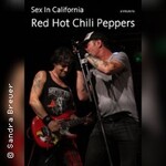 Sex In California | A Tribute to Red Hot Chili Peppers