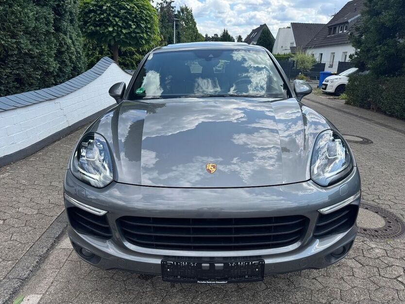 Cayenne