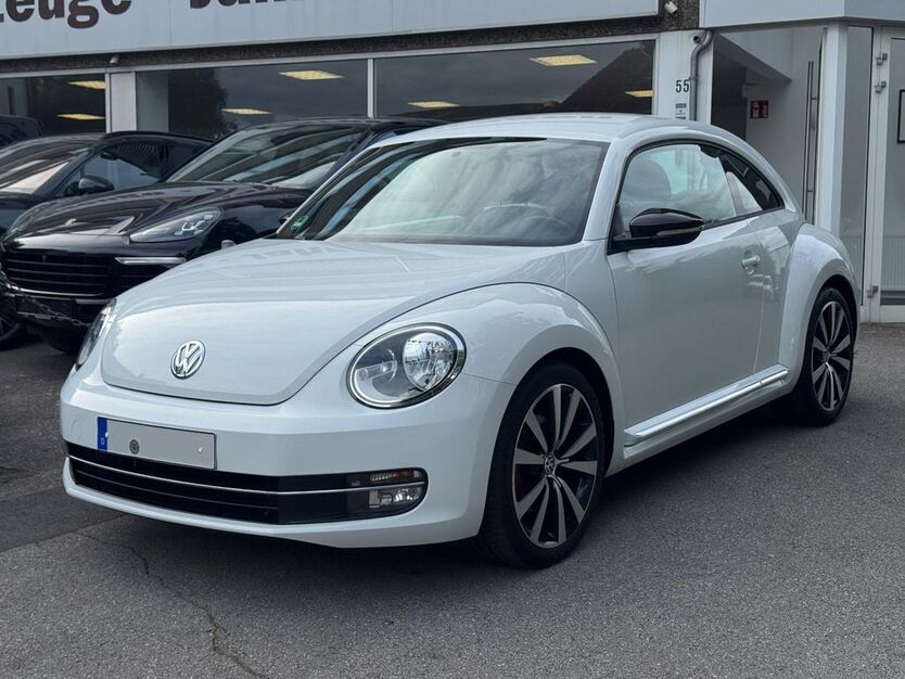 Beetle