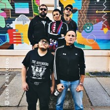 LOS FASTIDIOS - 35TH ANNIVERSARY! 13.08.2026 Pitcher