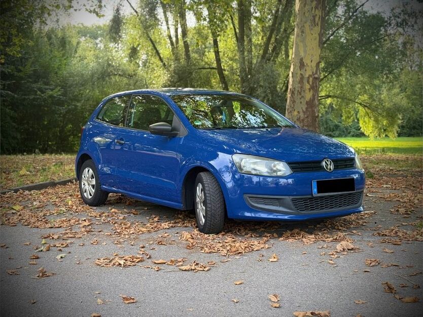 Polo