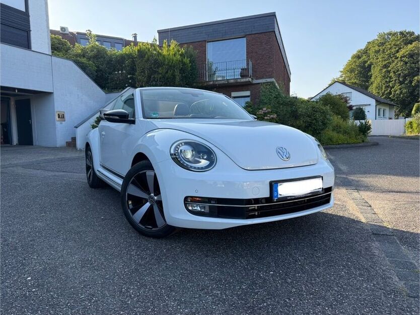 Beetle