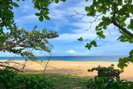 Grundstück in Costa Rica in einer der blauen Zonen der Erde zimmer