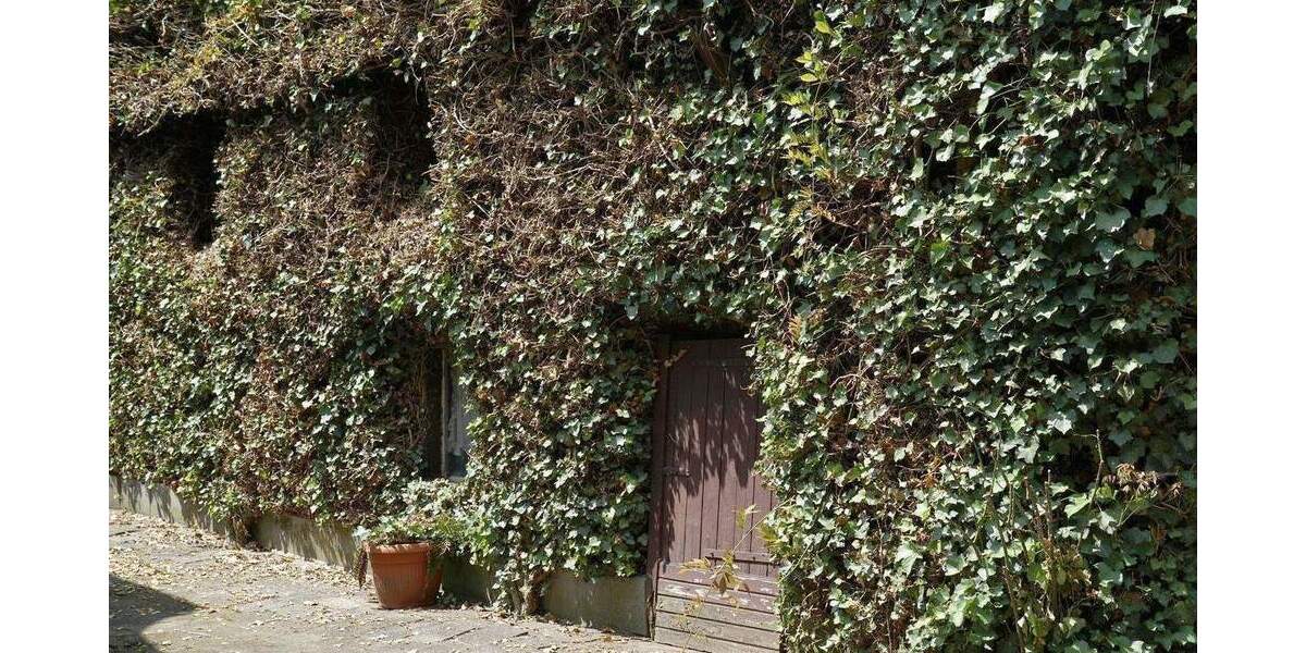 Mehrfamilienhaus, Wohnhaus Düsseldorf Urdenbach - 4 Zimmer, 121 m&sup2;, 739.000&euro; | Angebot:24577478