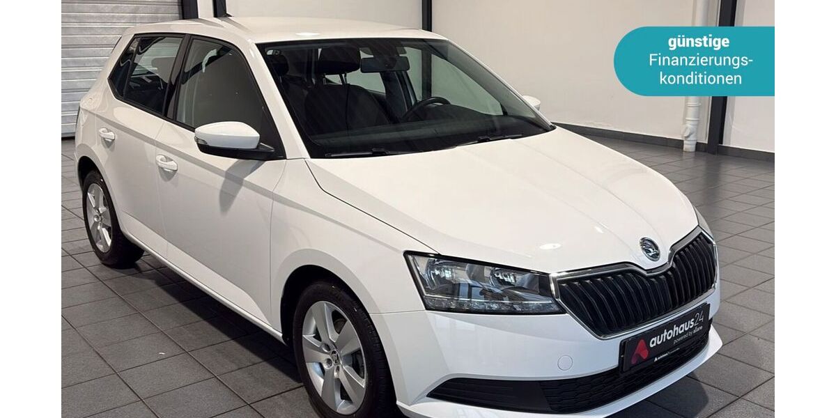 Skoda Fabia 39.476 km 11.790 € Wuppertal 42287
