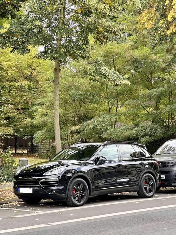 Cayenne