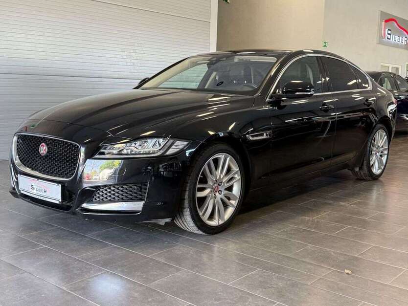 XF