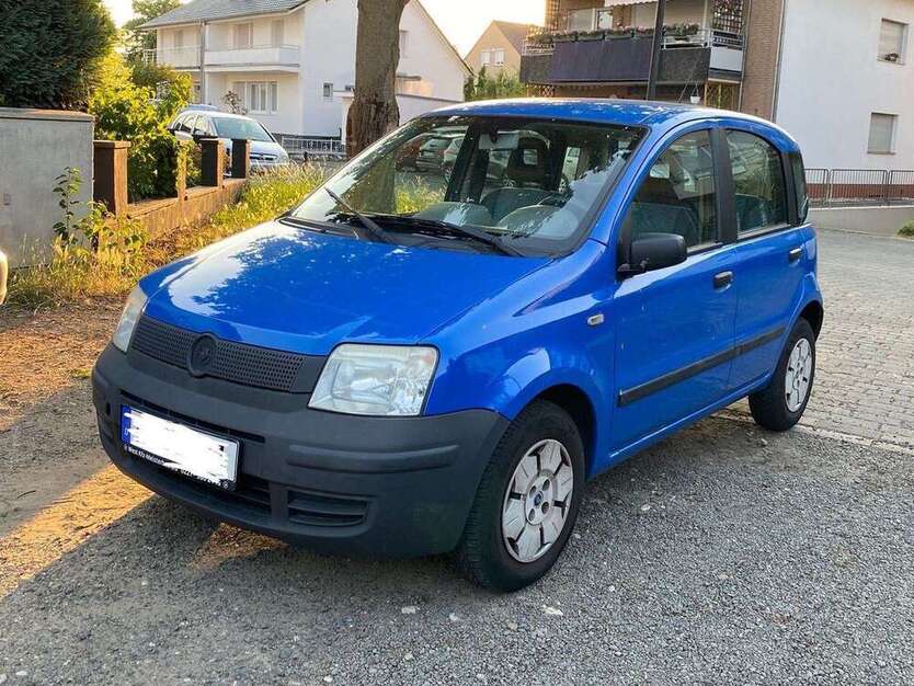Panda