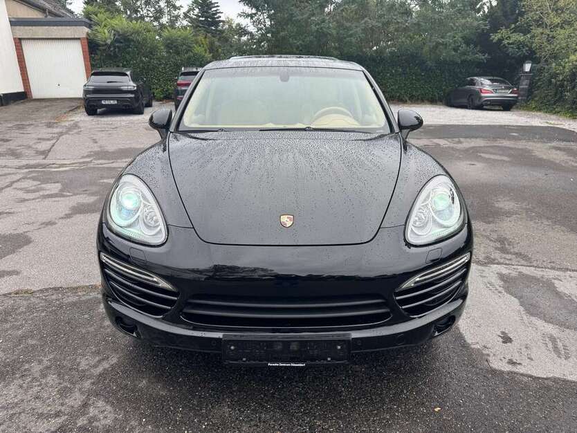 Cayenne