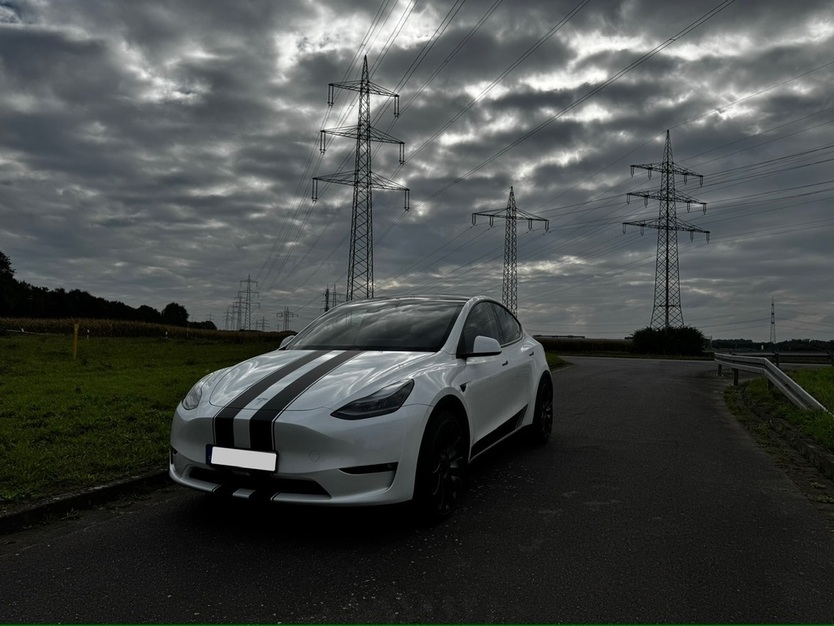 Model Y