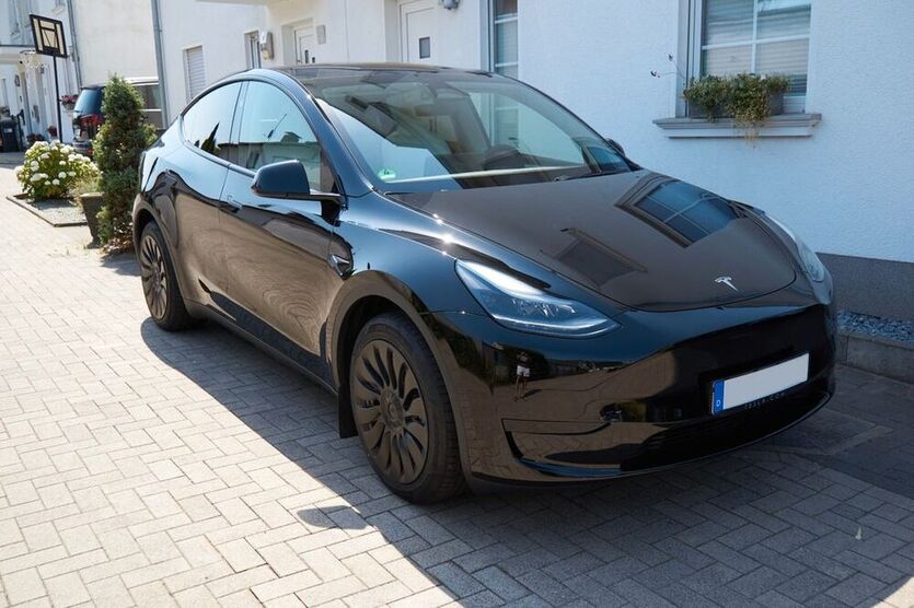 Model Y