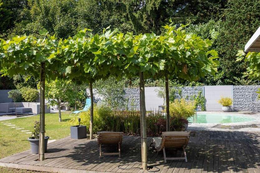 Neuwertiges, freistehendes Einfamilienhaus mit Pool und tollem Garten in zentraler Lage 4 zimmer