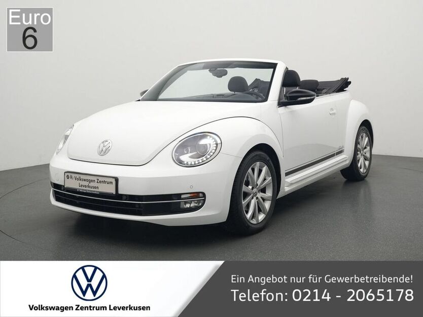 Beetle