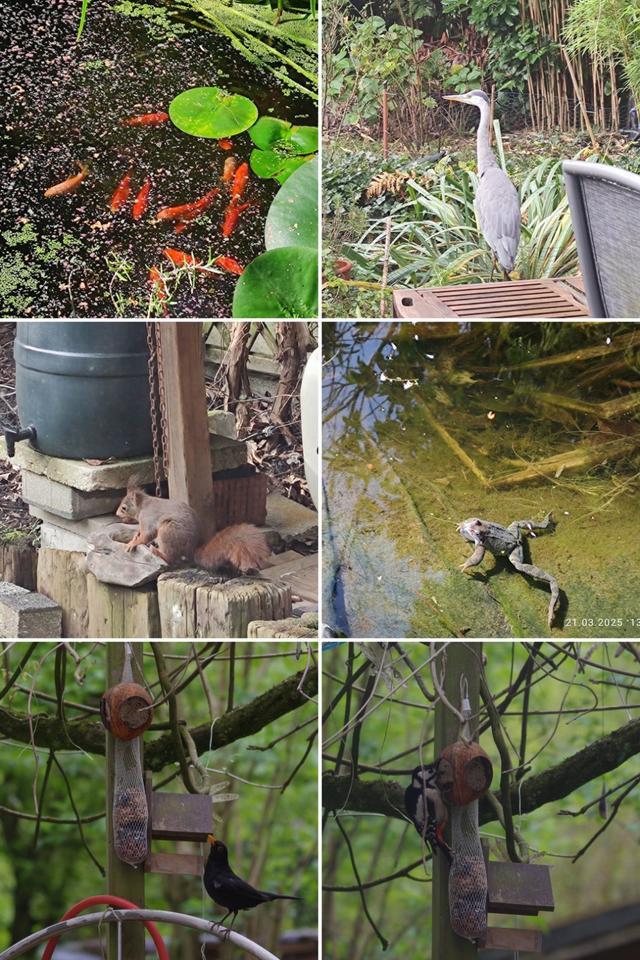 Charmante Eigentumswohnung mit wildromantischem Garten