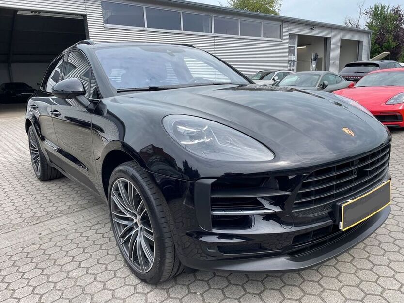 Macan