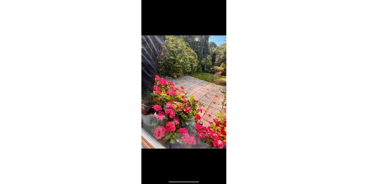 Reihenhaus Solingen - 7 Zimmer, 163 m&sup2;, 495.000&euro; | Angebot:27233569