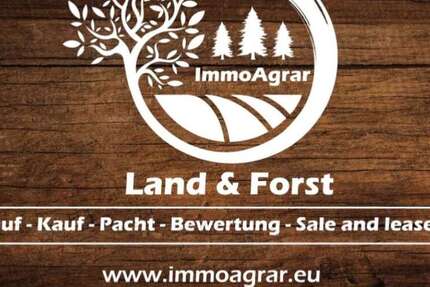 Grundstück in Ostendorf 84.500 € 6500 m²