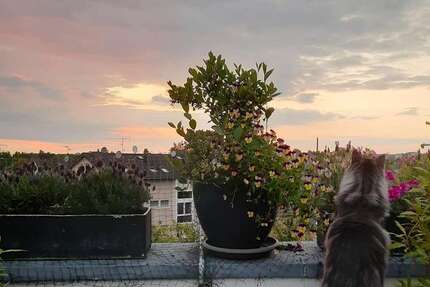 Wohnung zum Kaufen in Bergisch Gladbach 710.000 € 192 m² 7 zimmer