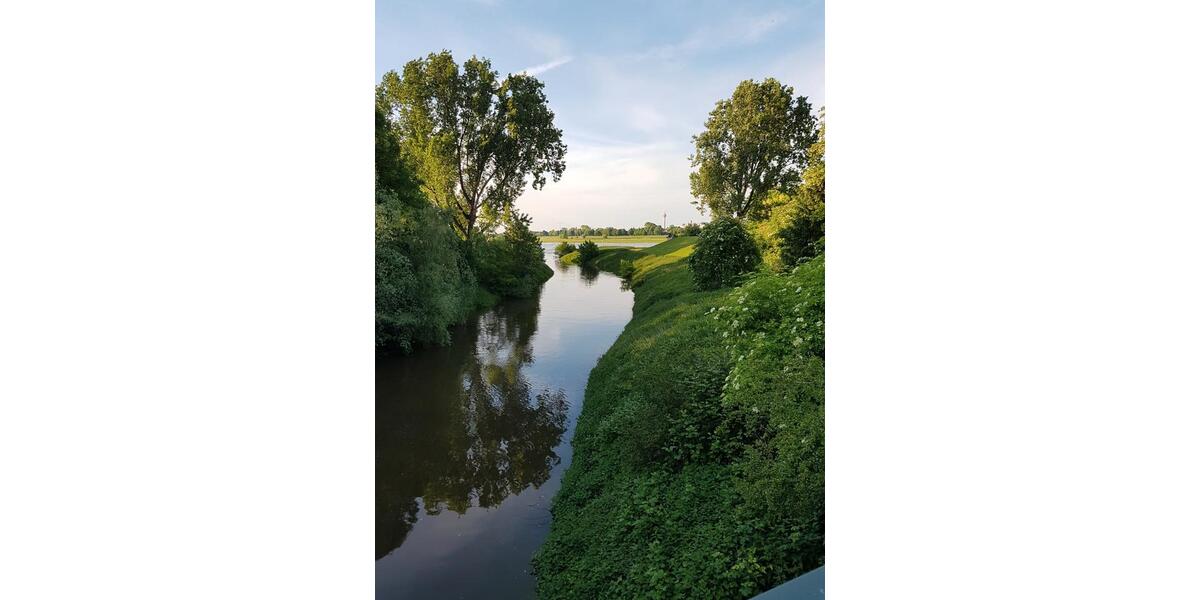 Etagenwohnung Neuss Gnadental - 2 Zimmer, 60 m&sup2;, 1.290&euro; | Angebot:27605491