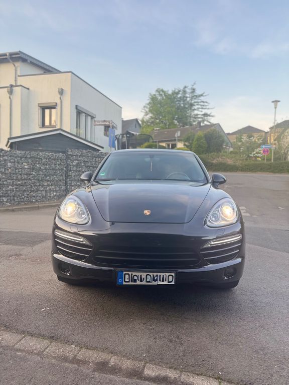 Cayenne