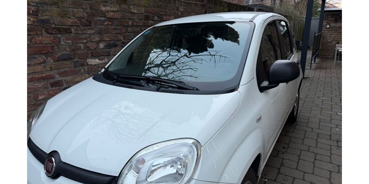 Fiat Panda 54.000 km 6.499 &euro; Pulheim 50259