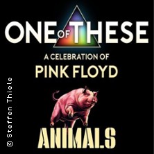 One of These Pink Floyd Tribute Live - A Celebration of Pink Floyd Animals 27.02.2027 Hamtorkrug Neuss