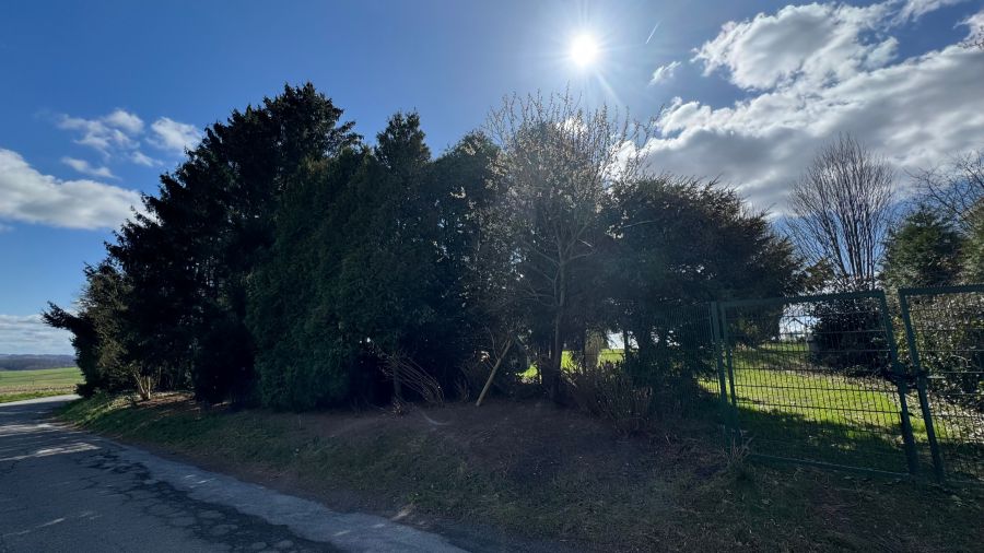 Provisionsfrei* Exklusives Baugrundstück in Toplage - uneinsehbar, familienfreundlich & mit 40km-Fernblick - Grundstück Bergisch Gladbach Alt-Frankenforst | Angebot:22630584