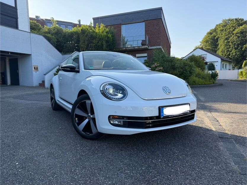 Beetle