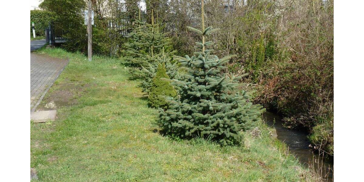 Grundstück Overath Steinenbrück - 9.900&euro; | Angebot:26584450