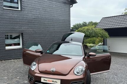 VW Beetle