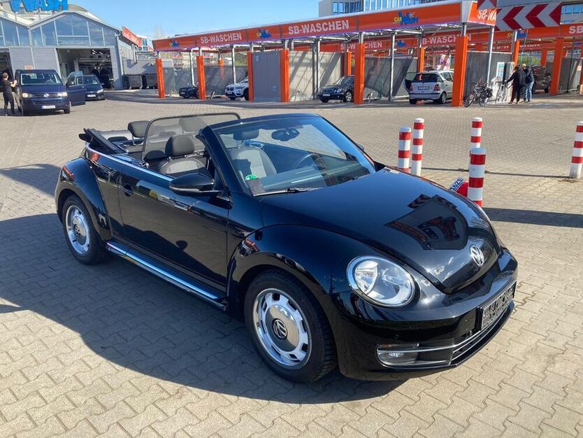 Beetle