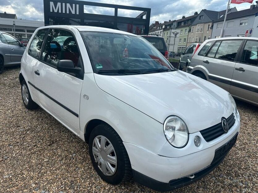 Lupo