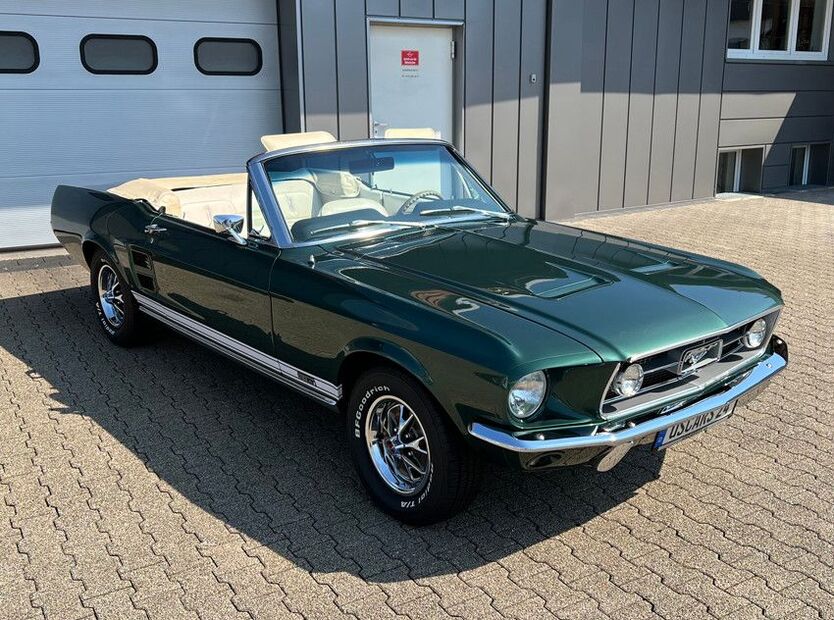Mustang