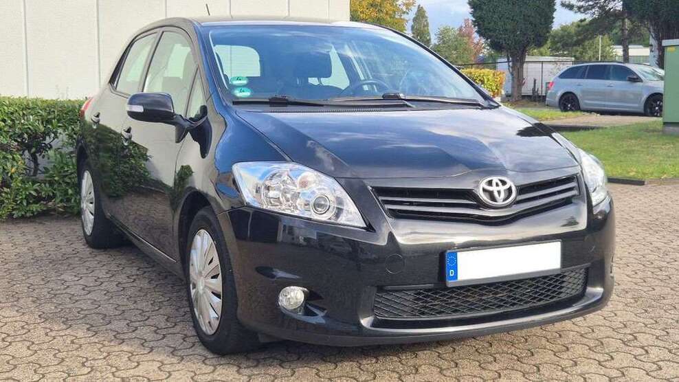 Auris