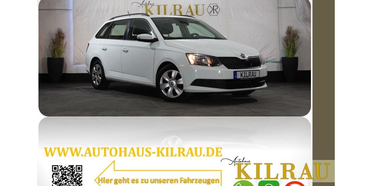 Skoda Fabia 130.000 km 8.899 € Mettmann 40822