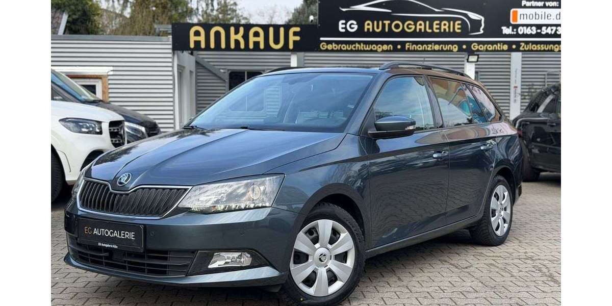 Skoda Fabia 133.700 km 9.850 &euro; Köln 51109